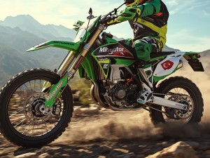 The Ultimate Guide to Enduro Bike Protection